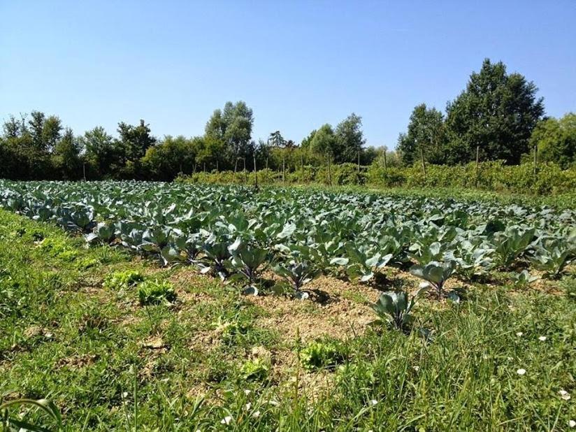 Ecogarden Camping With Rooms Chirignago-Zelarino Exterior photo