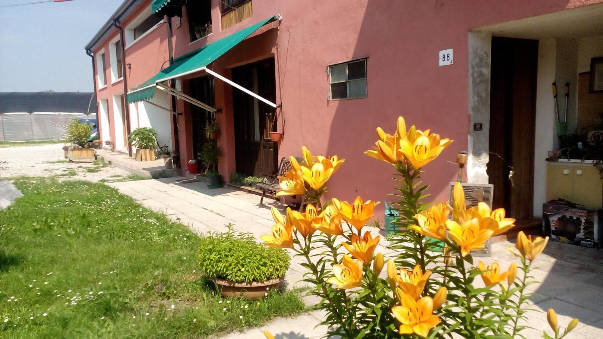 Ecogarden Camping With Rooms Chirignago-Zelarino Exterior photo